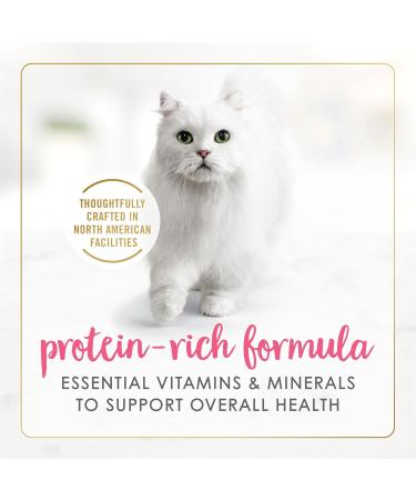 Fancy Feast Grilled Wet Cat Food Salmon & Shrimp Feast in Gravy - 85 g Can (24 Pack) - Buy Online on GoSupps.com