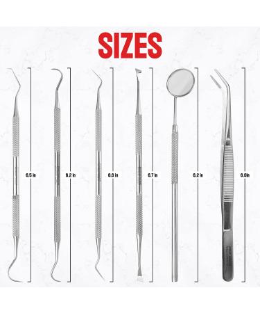 Dental Care Kit - 6 Pcs Stainless Steel Tools for Tooth Filling Repair and Pet Care - Buy Online on GoSupps.com