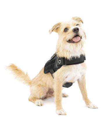 Kurgo RSG Townie Dog Harness Easy to Put on and Take Off Adjustable Chest and Belly Straps Size S Black Townie Black S
