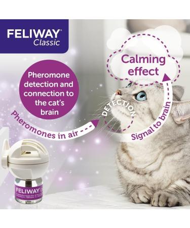 FELIWAY Classic 20ml Spray comforts cats and helps solve behavioural issues and stress/anxiety in the home and on the move - 20 ml (Pack of 1) - Buy Online on GoSupps.com