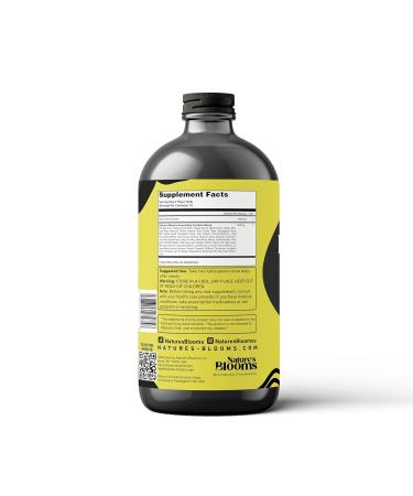 Nature's Blooms: Black Seed Bitters Natural Supplement for Health and Wellness|Super Antioxidant for Immune Support Joints Digestion Hair & Skin|16 oz - Buy Online on GoSupps.com