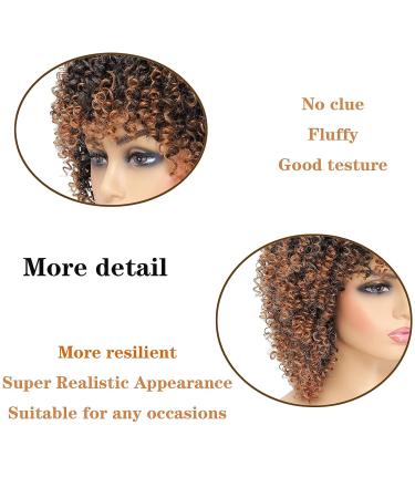 Fallsea Curly Afro Braided Wig T30 - Synthetic Wig for Black Women - Buy Online on GoSupps.com