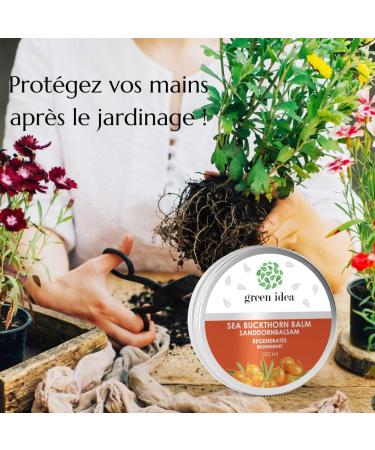 GREEN IDEA Sea Buckthorn Balm Hand Cream Natural Cosmetics Moisturizing Cream Intensive Protection of Skin and Nail Bed Regenerating and Soothing Effect 100ml - Buy Online on GoSupps.com