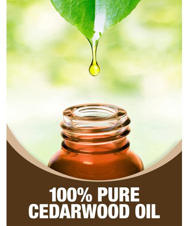 Ethereal Nature Cedar Oil - 100% Pure, 1.01 fl oz - Buy Online on GoSupps.com