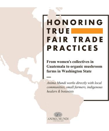 Anima Mundi Chocolate Protein Superfood Powder - Organic Vegan Plant-Based Protein for Energy & Strength - Nutrient-Dense Adaptogen Blend (567g - Buy Online on GoSupps.com