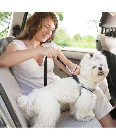 KUUQA 4 Pack Pet Dog Cat Seat Belt Adjustable Safety Leads Vehicle Car Harness Seat Tether Nylon Fabric-Red Blue Black Purple Colorful - Buy Online on GoSupps.com