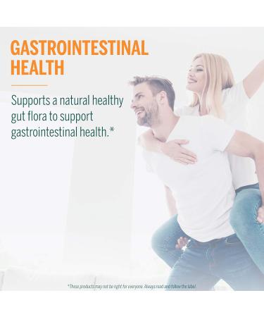 Genestra Brands HMF Capsules - 4 Strains Probiotics for Gut Health - Lactobacillus & Bifidobacterium Supplement - Non-GMO & Gluten Free - 60 Vegetarian Capsules - Buy Online on GoSupps.com