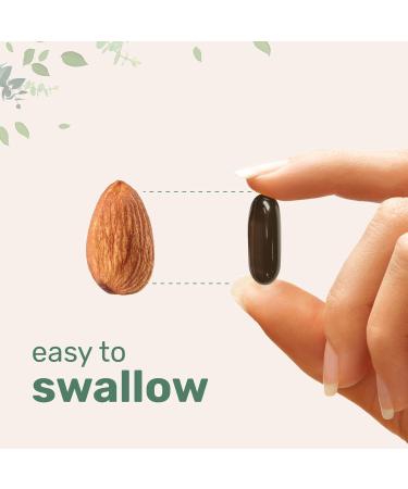 Micro Ingredients Sunflower Lecithin 1 600mg Per Serving 300 Softgels | Sustainably Farmed Source Cold Pressed Rich in Phosphatidyl Choline | Lactation Supplement* | Soy Free Non-GMO - Buy Online on GoSupps.com