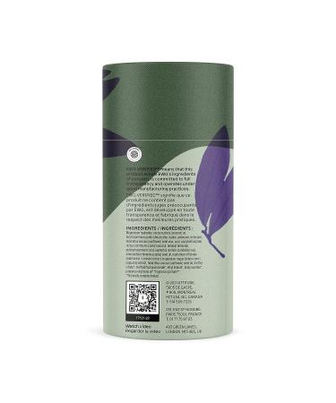 ATTITUDE Plastic-Free Deodorant | Aluminum-Free, Baking-Soda Free | Vegan & Cruelty-Free | EWG Verified | Herbal Musk | 3 Ounces - Buy Online on GoSupps.com