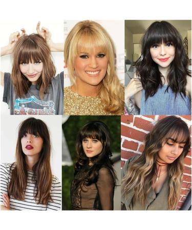 Bangs Hair Clip Synthetic Fake Blunt Air Bangs Clip in Hair Extensions Clip in French Bangs Straight Fringe False Hairpiece for Women Bangs Clip in Hair(Color:4A) - Buy Online on GoSupps.com
