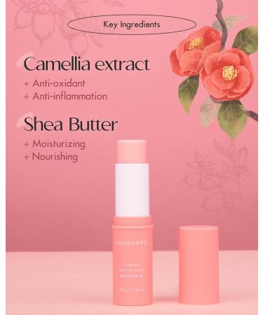 SKINCURE Camellia Anti-Wrinkle Multi Balm - Hydrating Korean Face Neck & Eye Cream with Shea Butter & Extract | 0.4 oz - Buy Online on GoSupps.com
