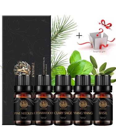100% Pure Cedar Essential Oil Set for Diffuser Aromatherapy Ylang Ylang Essential Oil Kit for Home 5x10ml 100% Pure Basil Essential Oils Set - Clary Sage Pine Needles Oils for Air Freshener - Buy Online on GoSupps.com