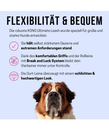 High-Quality 5m Cong Roll-Out Dog Leash for Large & Strong Dogs (Up to 70kg) - XL Reflective Design with Soft Handle & Break Lock System - Gray - Buy Online on GoSupps.com