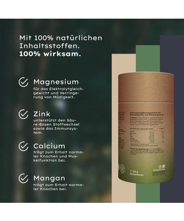 Terrabase 100% Natural Base Powder - 210g for 60 Portions | Vegan Magnesium Calcium Zinc & Manganese | Acid-Base Balance & Pleasant Lemongrass Aroma - Shop Now! - Buy Online on GoSupps.com