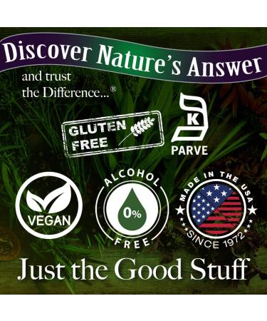 Nature's Answer Sambucus Immune Support with Echinacea & Astragalus - 12000 mg, 8 fl oz - Buy Online on GoSupps.com