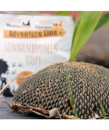 WachtelGold Sunflower Head - 1 Piece: Ideal Enrichment for Quails - Shop Internationally - Buy Online on GoSupps.com