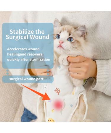 Clrybo Katzenbody - Professional Recovery Suit for Cats & Dogs | Anti-Trim Post-Op Clothing for Belly Wounds & Skin Diseases | Ocean M - Buy Online on GoSupps.com