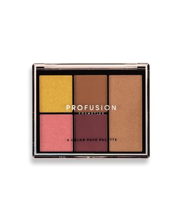 Profusion Cosmetics Concealer Face Defining Palette - Flawless Coverage for All Skin Tones | International Shipping Available - Buy Online on GoSupps.com