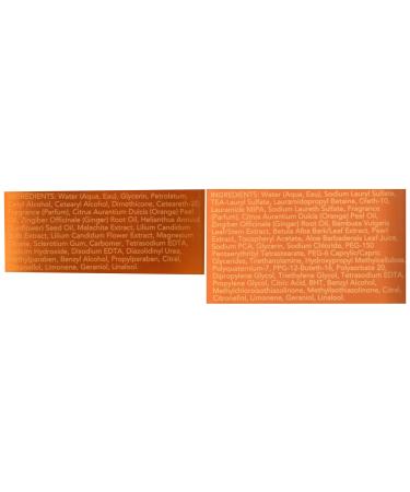 Bath and Body Works Aromatherapy Orange Ginger Gift Set | Energizing Body Lotion & Wash - International Shipping - Buy Online on GoSupps.com