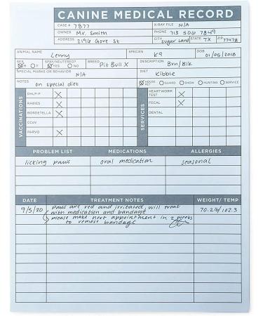 Okuna Outpost Pet Medical Record Sheets for Vets - Puppy Vaccine Cards (250 Pack) - Buy Online on GoSupps.com