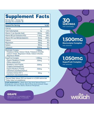 Splish Splash Hydration Electrolyte Drink Mix - Grape Flavor | 30 Servings | Boost Energy & Hydration - Buy Internationally - Buy Online on GoSupps.com