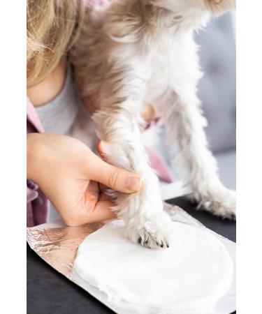 Pearhead Pet Paw Print Photo Frame - DIY No Mess Keepsake Kit for Cats & Dogs | Ideal Memorial Gift in Distressed Gray - Buy Online on GoSupps.com