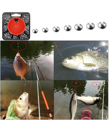 Premium Fishing Lye Set - 160 Lead Grain Weights with Storage Box | 7 Sizes for Versatile Angling | Removable Lead Shot for Optimal Performance - Buy Online on GoSupps.com