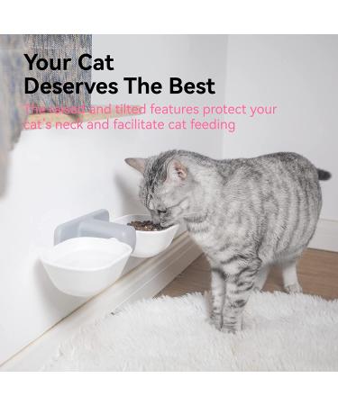 Anti-Spill Elevated Cat Food and Water Bowls Set - Wall Mounted Hanging Cat Bowls for No Vomiting, Dishwasher Safe - Buy Online on GoSupps.com
