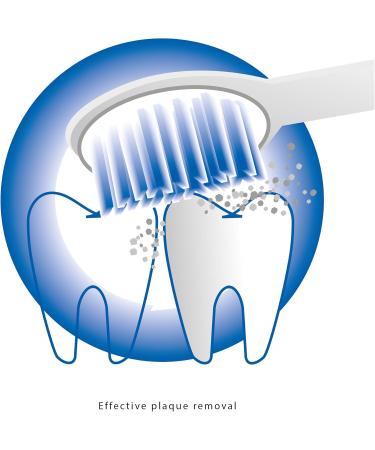 Proficare PC-EZS 3000 Electric Sound Toothbrush | Optimal Dental Care & Oral Hygiene | Includes 2 Butsiessents | Battery Operated | White-Blue - Buy Online on GoSupps.com