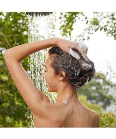  lavera lavera Expert Repair Deep Care Maintenance Shampoo with organic macadamia oil and organic quinoa Intense and rich hair care Natural cosmetics Vegan Organic (1 x 250 ml) - Buy Online on GoSupps.com