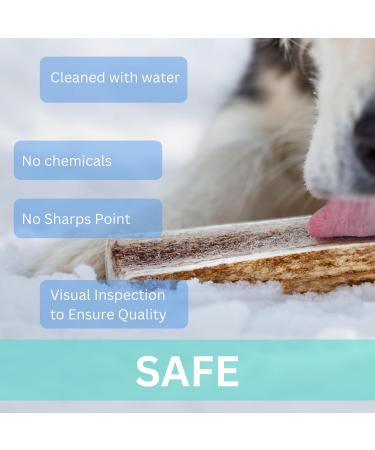 Elk Antler Dog Chews - Dental Sticks for Dogs - Premium Elk Antler Dog Bone - Premium Long Lasting - Preservative Free Cruelty Free - Naturally Shed in Canada by EZ Antler Chews (Variety Pack) - Buy Online on GoSupps.com