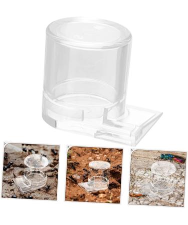 ORFOFE Pet Water Feeder Ant Waterer Ant Feeder Station Ant Bottle Feeder Ant Water Drinking Cup Plastic - Buy Online on GoSupps.com