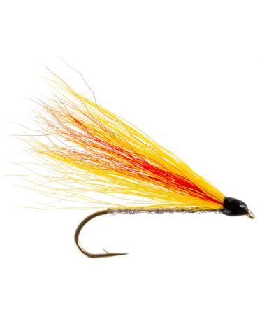 The Fly Fishing Place Classic Streamers Collection - 12 Trout Wet Fly Streamers, Size 4 - Buy Online on GoSupps.com