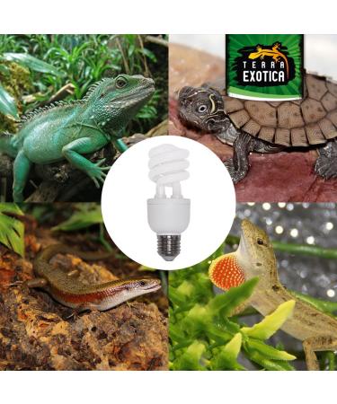 Terra Exotica Jungle 5.0 UVB 13W Full Spectrum Daylight Lamp - Compact Mini Terrarium Light | International Shipping Available - Buy Online on GoSupps.com