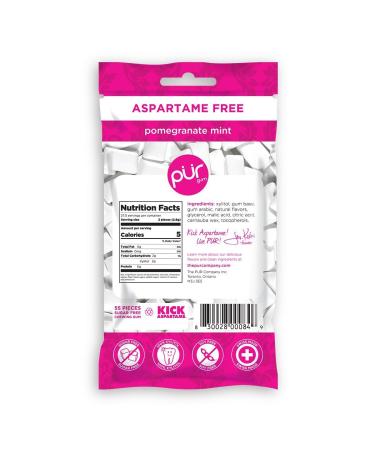 PURE Gum Sugar Free Pomegranate Mint - Vegan, Keto, Xylitol & Aspartame Free - 55 Pieces - Buy Online on GoSupps.com
