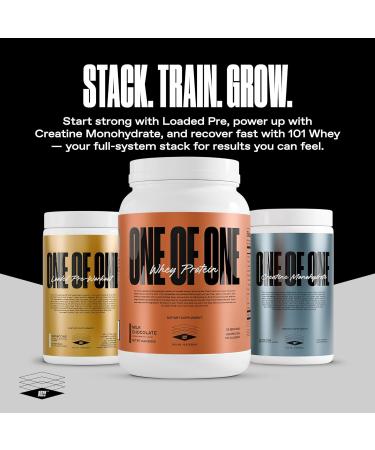ONE OF ONE Whey Protein Powder 25g Whey Protein Concentrate with Digestive Enzymes, Gluten Free, Low Carb, Post-Workout Recovery Milk Chocolate Flavor, 2lb - Buy Online on GoSupps.com