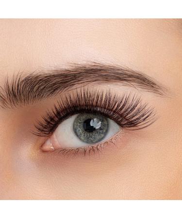Shop Beyelian C Curl Cluster Eyelashes - 48 PCS DIY Extensions 0.07mm Transparent Band Perfect for Home Use | Individual Lashes 14mm Twin Flowers - Buy Online on GoSupps.com