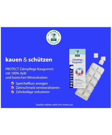 Baders Protect Dental Care Cup | Sugar-Free 100% Xylitol Gum | Less Plaque & Whiter Teeth | 3 Pack of Mint Chewing Gum Squares (60 Pieces) - International Shipping - Buy Online on GoSupps.com