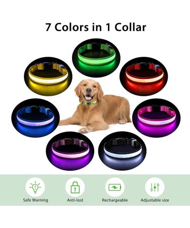 LED Light Up Dog Collar - USB Rechargeable, Waterproof, Adjustable - Green - M(38-50cm/15-19.7inch) - Buy Online on GoSupps.com