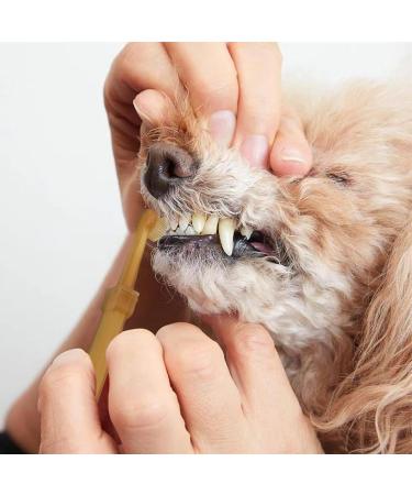2Pcs Zentric Dog Toothbrush 360 Pet Dual Head Silicone Toothbrush Flexibrush Cats Dogs Toothbrush with Tongue Scraper Pets Teeth Cleaning Toothbrush Kit for Dogs Cats & Small Pets Dental Care - Buy Online on GoSupps.com