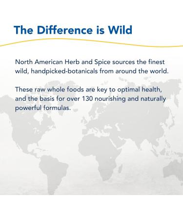 NORTH AMERICAN HERB & SPICE Herbal-zzZs - 60 Softgels - Natural Sleep Support - Melatonin Free Non-Habit Forming - With Ashwagandha & Chamomile - Non-GMO - 60 Servings - Buy Online on GoSupps.com