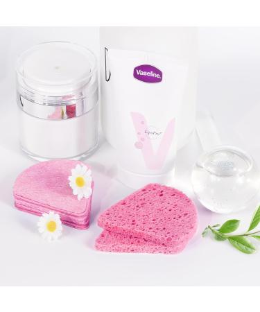 Buy Compressed Flower-Shaped Facial Sponges | Pink Exfoliator for Professionals & Home Use - International Shipping - Buy Online on GoSupps.com