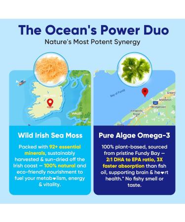 Bundle: Potassium Citrate and Potassium Gluconate Gummies 2 Pack & Sea Moss Gummies + Omega-3 2 Pack - Buy Online on GoSupps.com