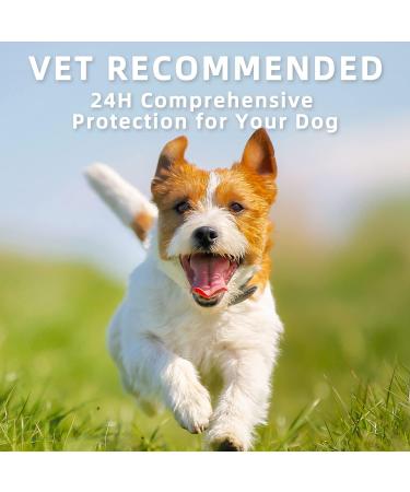 Natural Spot on Flea and Tick Treatment for Large Dogs | Fast-Acting & Waterproof | 3 Pipettes 21-40kg | Flea and Tick Prevention - Buy Online on GoSupps.com