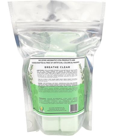 Breathe Clear Menthol Eucalyptus Peppermint Aromatherapy Shower Steamer 2 oz tab 5 count bag Wildfire Aromatics (1) - Buy Online on GoSupps.com