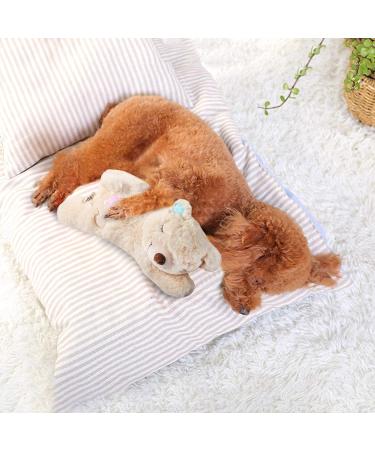 All For Paws Cuddly Toy for Dogs - Heartbeat Plush Animal & Behavioral Aid | Warm Bear Puppy Toy - Buy Online on GoSupps.com