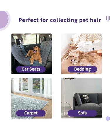 Mollypaws Pet Hair Remover for Furniture - Reusable Dog Cat Fur Removal Brush - Non-Slip Handle - Upgrade Cleaning Tool (Purple/Limited Edition) - Buy Online on GoSupps.com