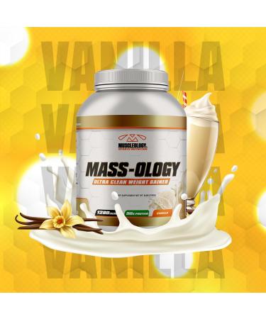 Buy Weight Gainer Whey Protein Powder - Muscle Builder for Men & Women - Vanilla Flavor 7.8 lbs - International Shipping Available - Buy Online on GoSupps.com