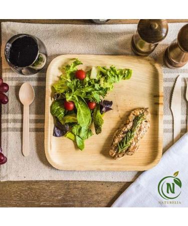 Naturelia 100% Compostable 6-Inch Palm Leaf Disposable Plates Square- Biodegradable Bamboo Plates for Wedding Party & Picnic | Eco Friendly and Natural Appetizer Plates - Microvave Safe - Buy Online on GoSupps.com