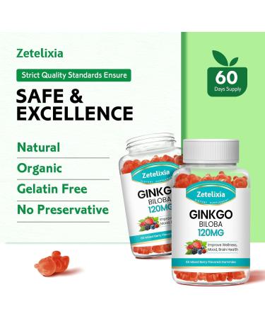 2 Pack Ginkgo Biloba Gummies for Women and Men Brain Supplement Improve Better Mood and Focus Vegan Mixed Berry Flavor 120 Count 60 Count (Pack of 2) - Buy Online on GoSupps.com